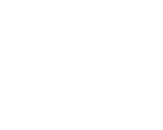 Ty Bos