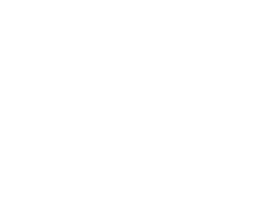 Logo Ty Bos